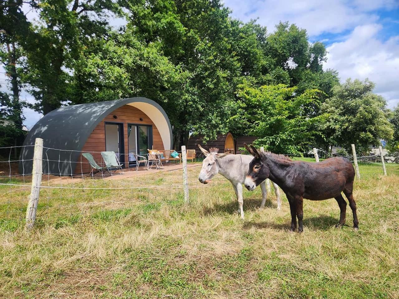 באדן Gites & Tiny Houses Les Hauts De Toulvern חדר תמונה