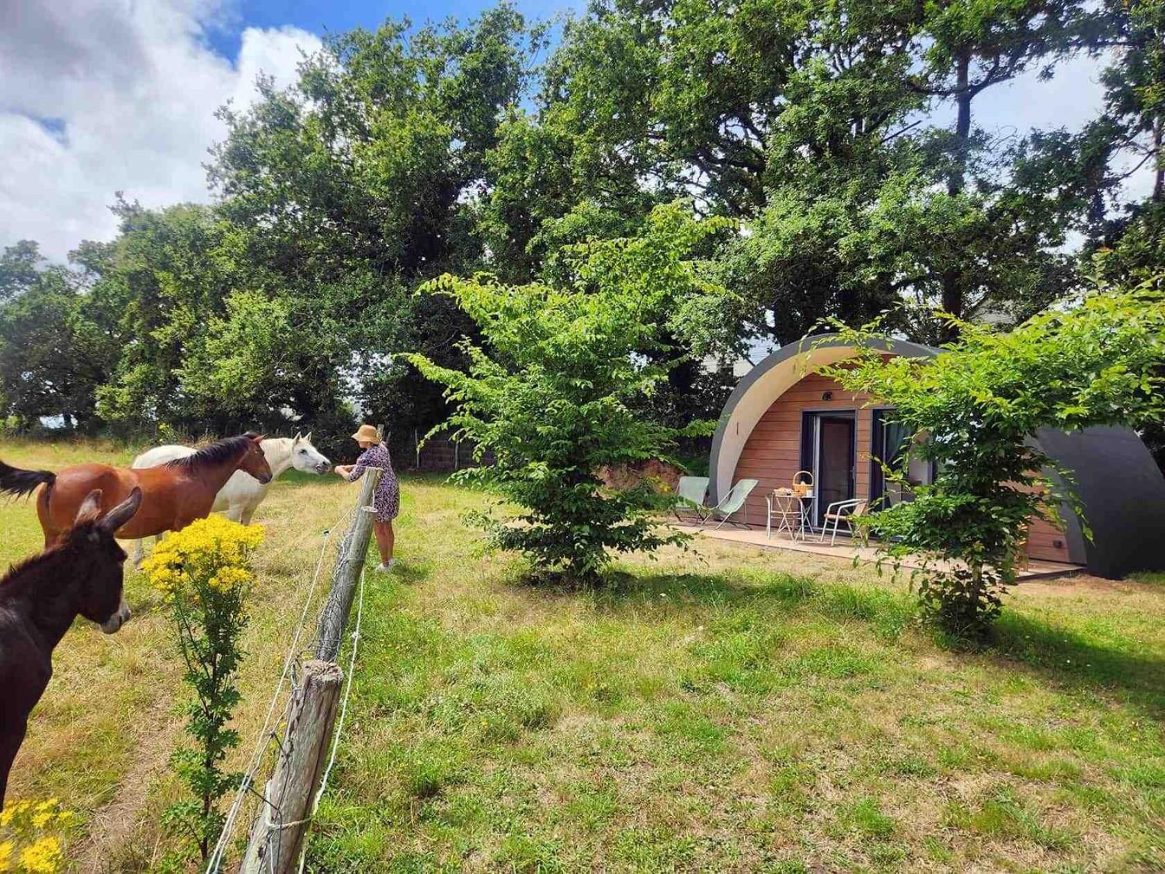 באדן Gites & Tiny Houses Les Hauts De Toulvern חדר תמונה